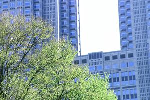 一戸建てを川崎市でお探しならば