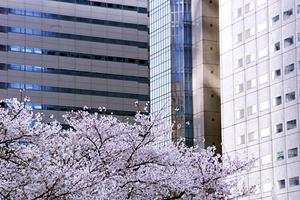 山口市のペット可賃貸物件ガイド2026｜選び方とお得な情報を徹底解説